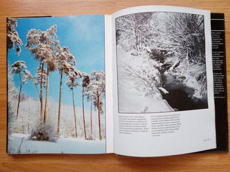 Stretnutie s krásou - ponec,