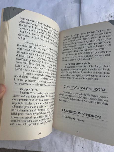 Význam nemocí lise bourbeau kniha, 