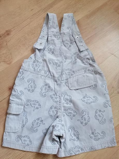 Sivé kraťasy na traky, 80