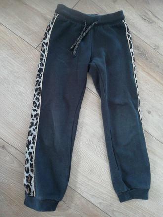 Teplaky, palomino,116