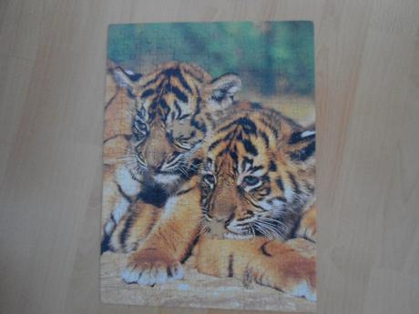 Puzzle tigrik, 