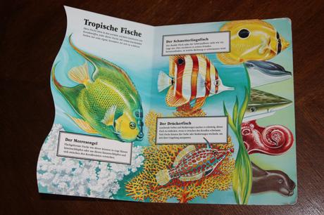 Leporelo meereslebewesen, 