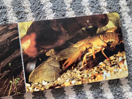 Pri vodičke, na vode /leporelo-prvé vyd.1989, 