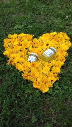 Nechtíkova mastička, 