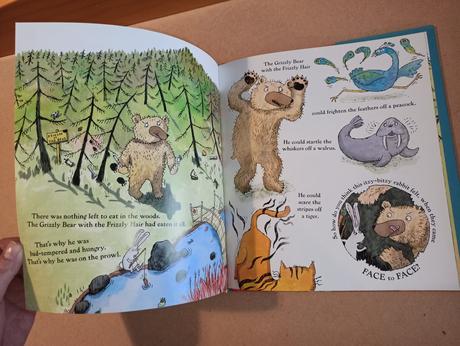 The grizzly bear with frizzly hair hb,