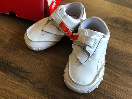 Botasky puma, puma,20