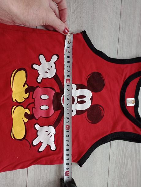 Mickey mouse súprava na leto, 110