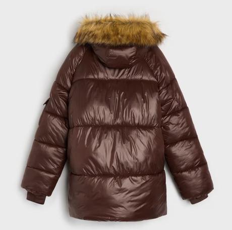 Hnedá bunda, sinsay,l