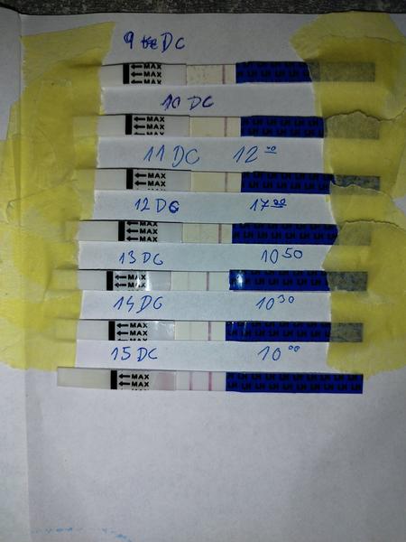 Je môj ovulačný test už pozitívny?