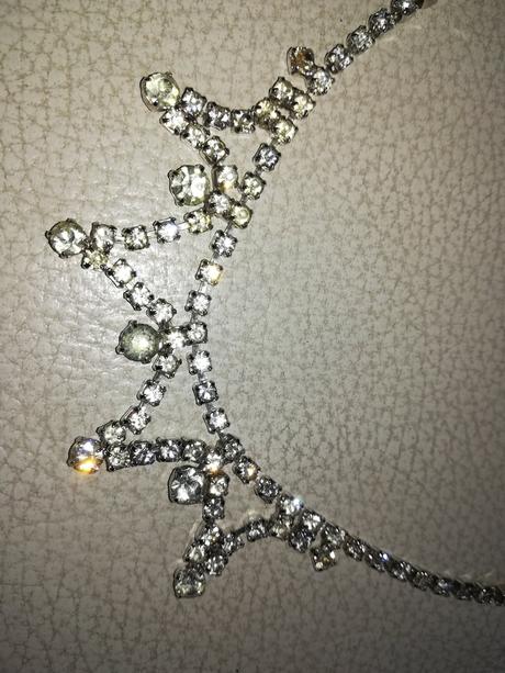 Nahrdelnik strasovy,