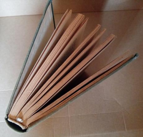 Trygve gulbranssen večne spievajú lesy, 