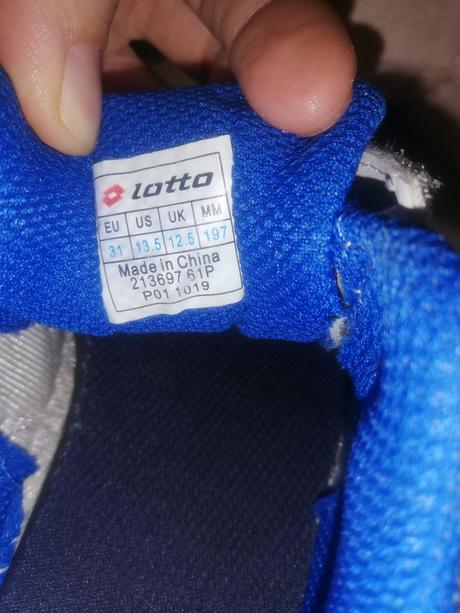 Botasky lotto c. 31, lotto,31