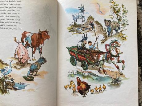 Div a zázrak (1981), 