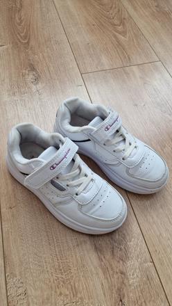 Botasky veľ 29., champion,29