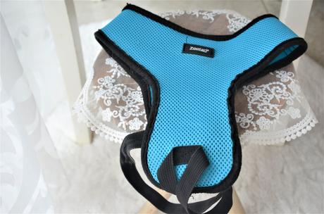 Postroj pre psa zoofari-l, 