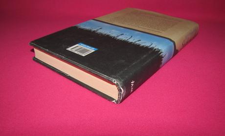 Jojo moyesová - strieborný záliv, 