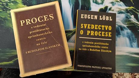 Kniha o procese, 