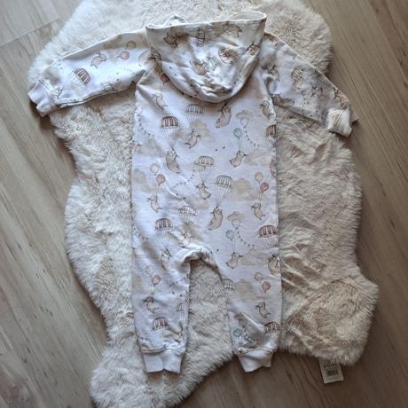 Overal zajačiky newbie, newbie,80