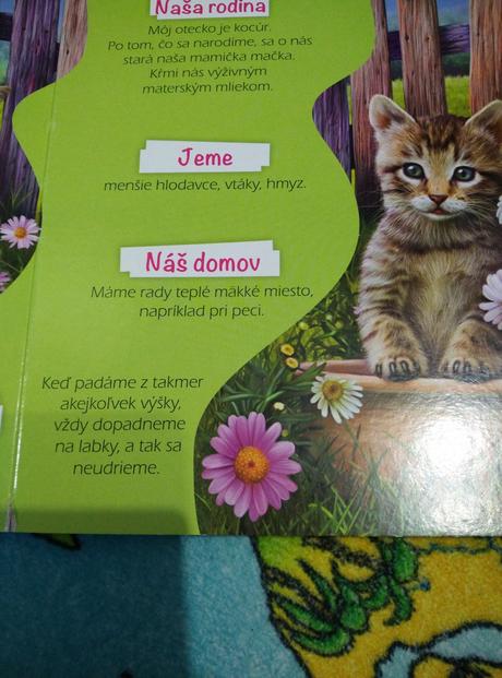 Mláďatká okolo nášho domu, 