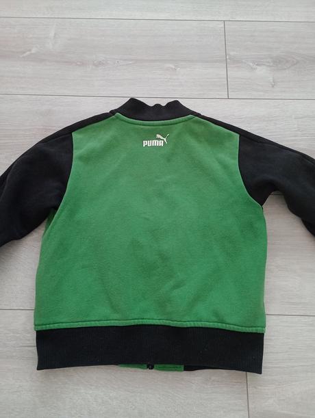 Mikina puma, puma,110