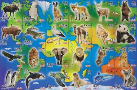 Magnetky kostíci - mapa zvierat,