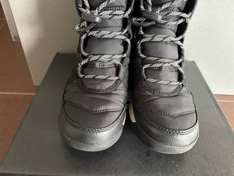 Snehule sorel, sorel,35