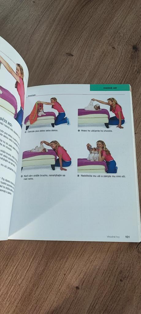 Ako vychovať psa, 