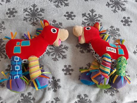 Konik ferdo lamazze dvojicky,