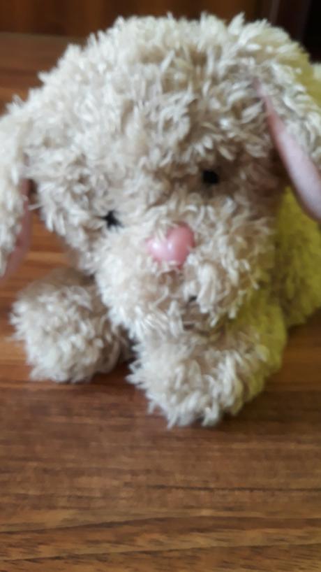 Plysovy psik na baterky, 