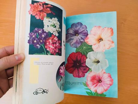 Okrasné rastliny (1960), 