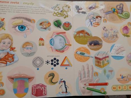 Kúzelné citanie ľudské telo, 