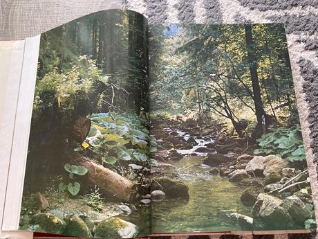Pieseň o slovenskom národnom povstaní (1974),