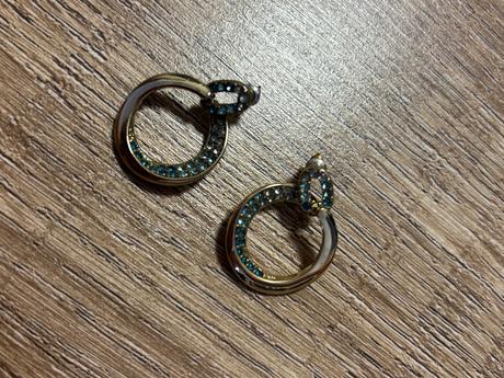 Nausnice s modrymi kamienkami, 