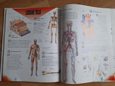 Veľká kniha otázok a odpovedí, 