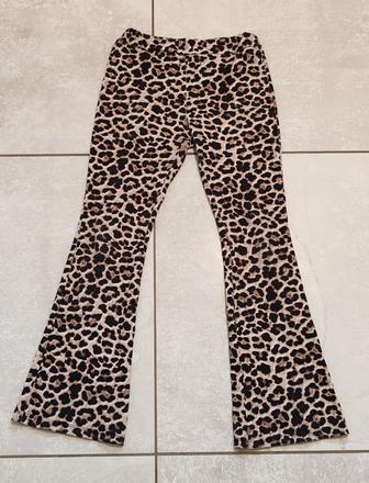 Leginy, 152