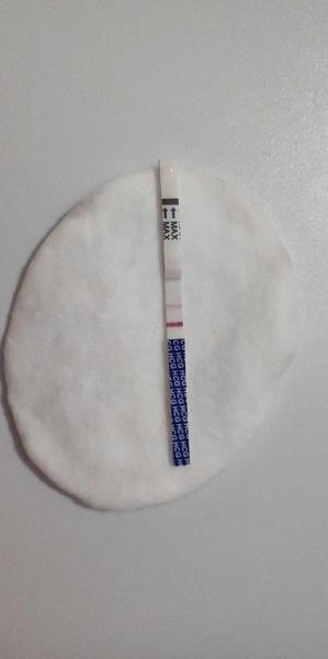 Prezieravo vkladám nádej: Bude to fungovať?