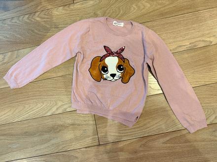 Svetrik so psikom, h&m,128