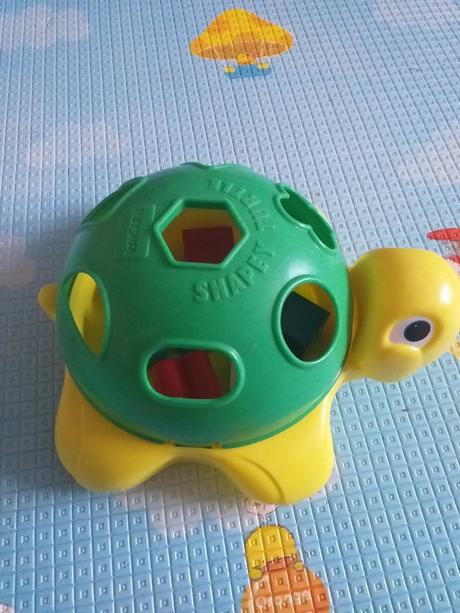 Korytnačka vkladačka, 