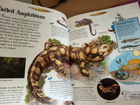 Disney reptiles, 