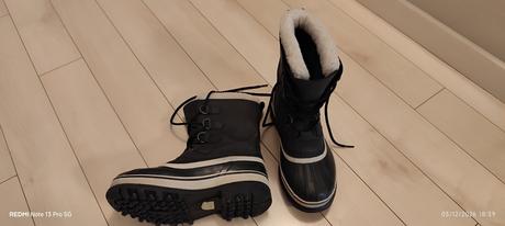 Snehule sorel, sorel,40