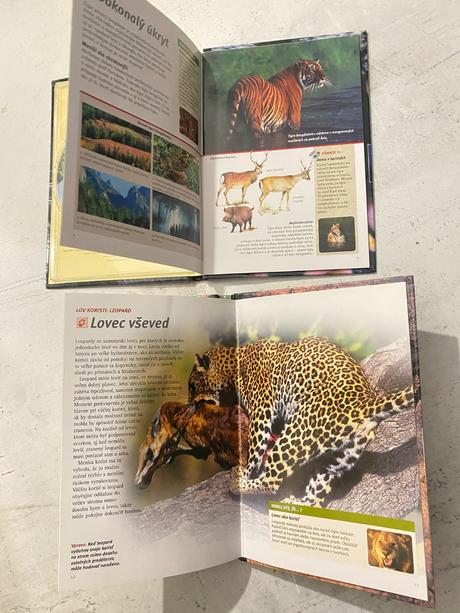 Dvd tigre a mačkovité šelmy - natural killers, 