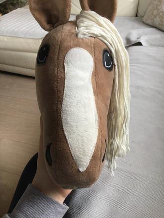 Hobby horse,