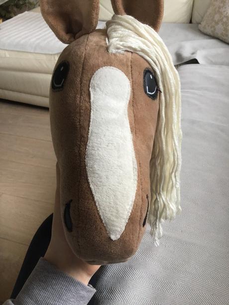 Hobby horse,
