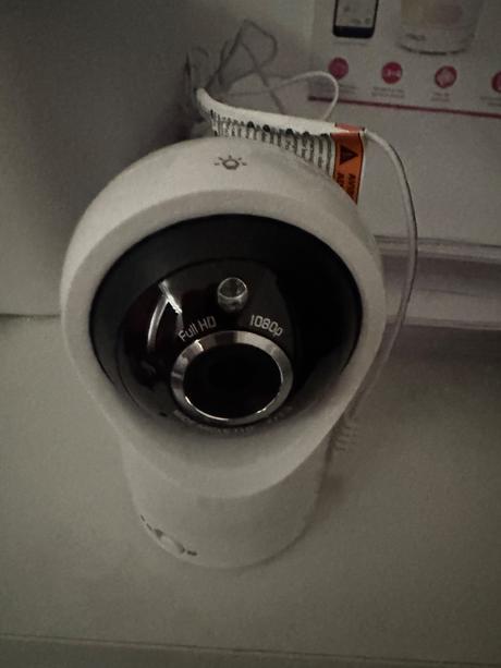 Detská pestúnka, vtech