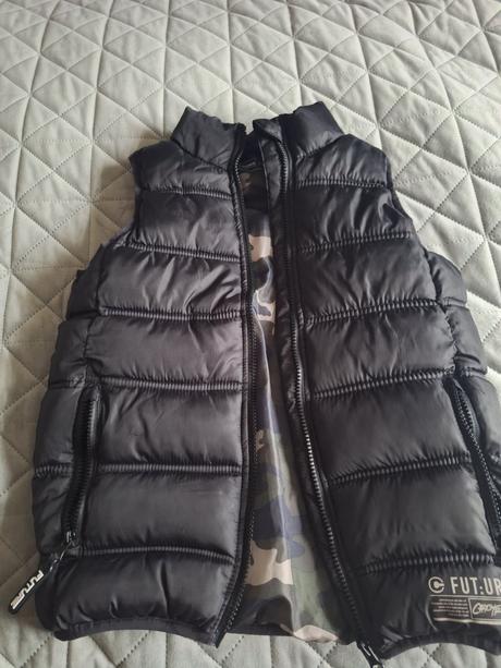 Vesta, chapter young,134