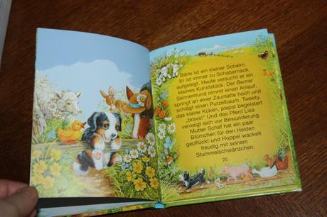 Meine schoensten hundegeschichten,