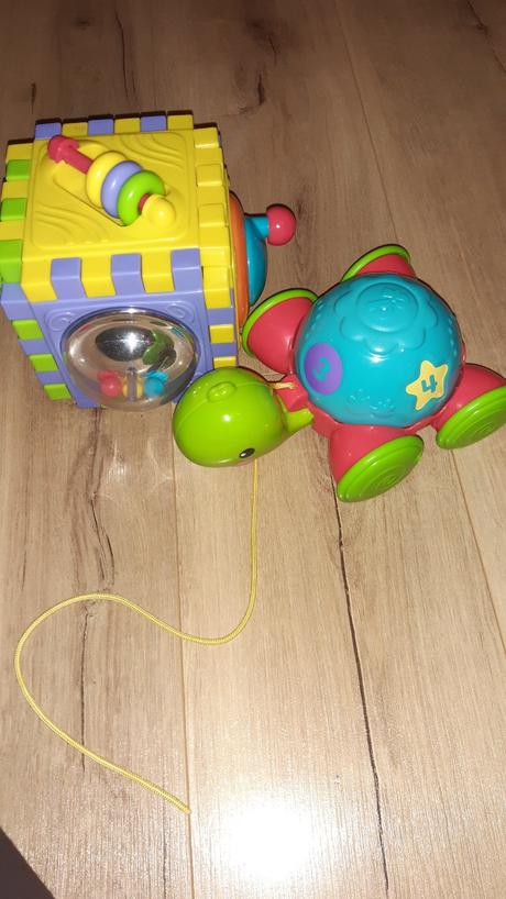 Korytnačka a kocka, 