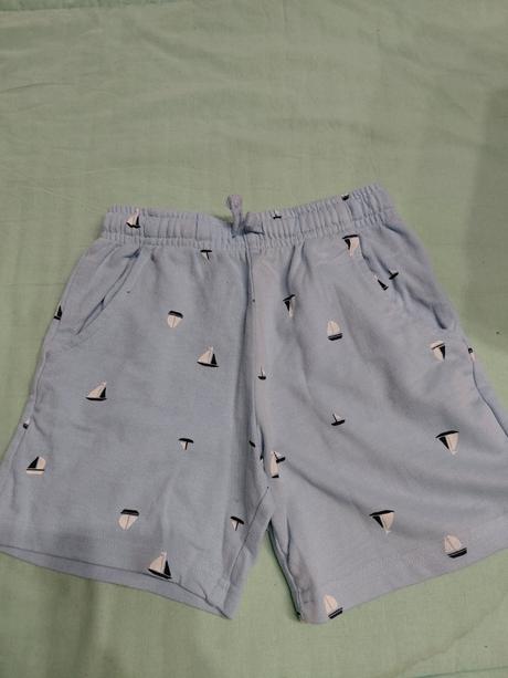 Kratase-palmy iii., sinsay,122