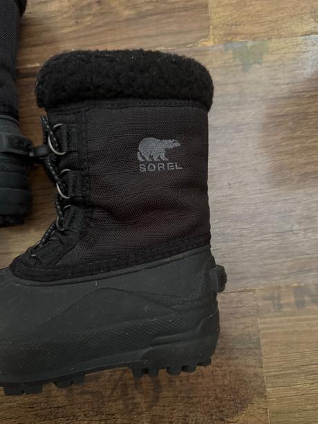 Snehule sorel, sorel,24