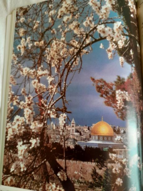 Izrael v šlépějích ježíše, 